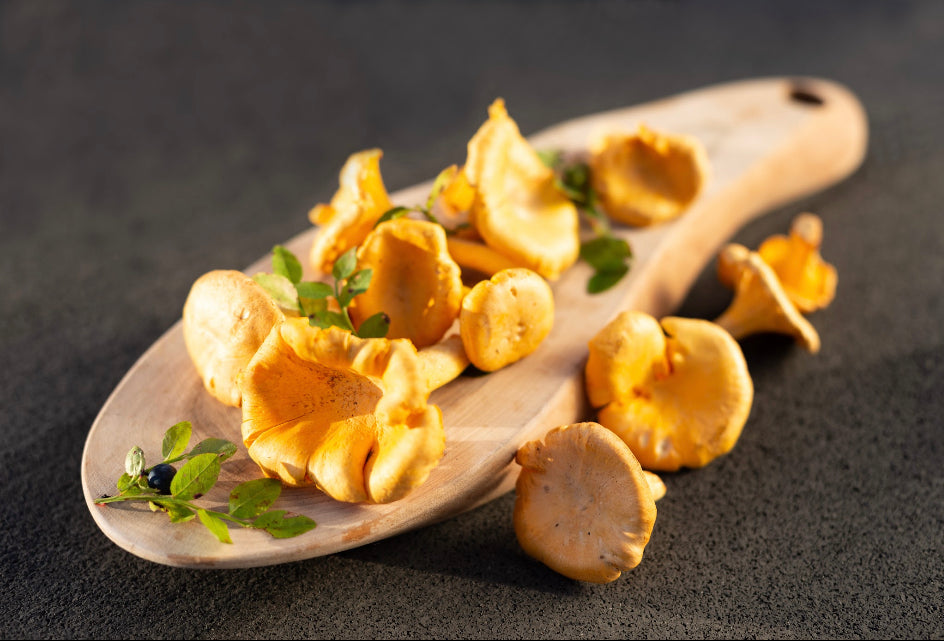 Golden Chanterelles Forest Mushrooms from Estonia (300g) Nordic