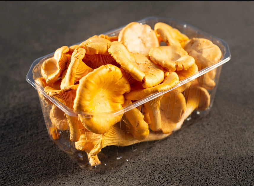 Golden Chanterelles Forest Mushrooms from Estonia (300g) Nordic